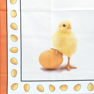 Pano de Cozinha Sarja Ref. Pinto