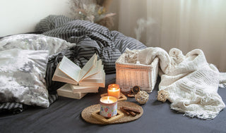 Preparar a Casa para o Inverno: Dicas de Conforto e Calor para Dias Frios